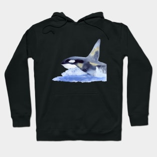 Orca in Watercolor and Gold Hoodie